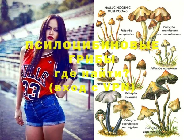 ALPHA PVP Армянск