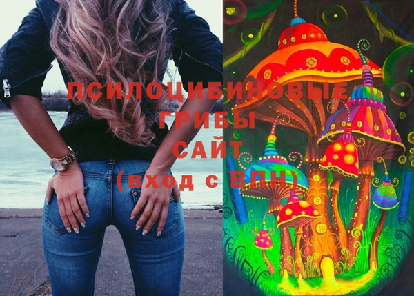 дурь Алексин