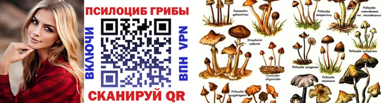Псилоцибиновые грибы мухоморы  Омутнинск 